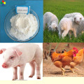 Factory Supply Veterinary Medicines API Ceftiofur Sodium Powder for Animal